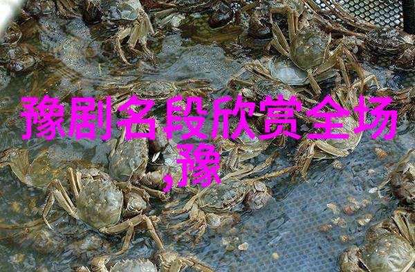 豫剧的唱腔介绍